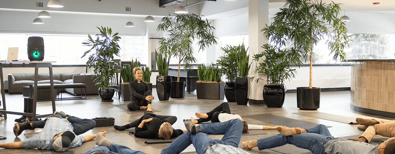 Wellness Program